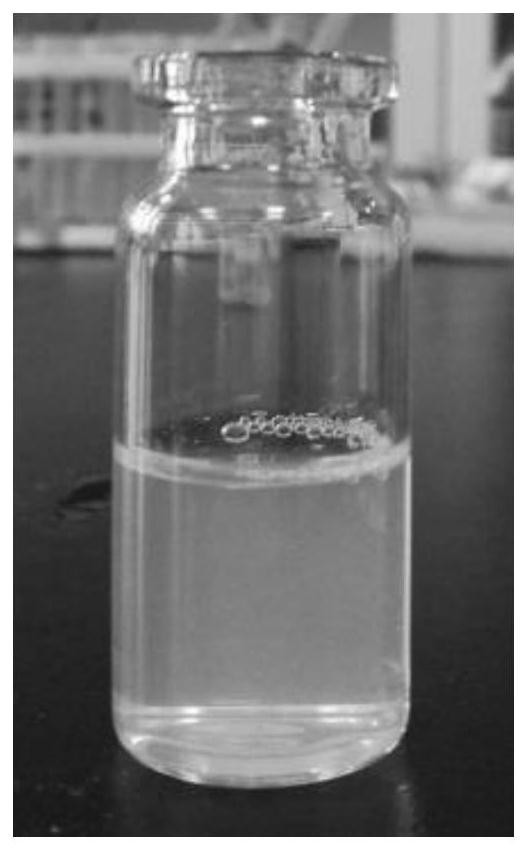 Lycorine nanoparticle as well as preparation method and application thereof