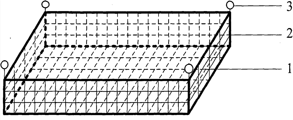 Method for cultivating young rapana venosa in rapana venosa artificial breeding