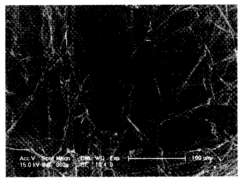 Method for preparing tissue engineering scaffold by pore forming of directional soluble fibres