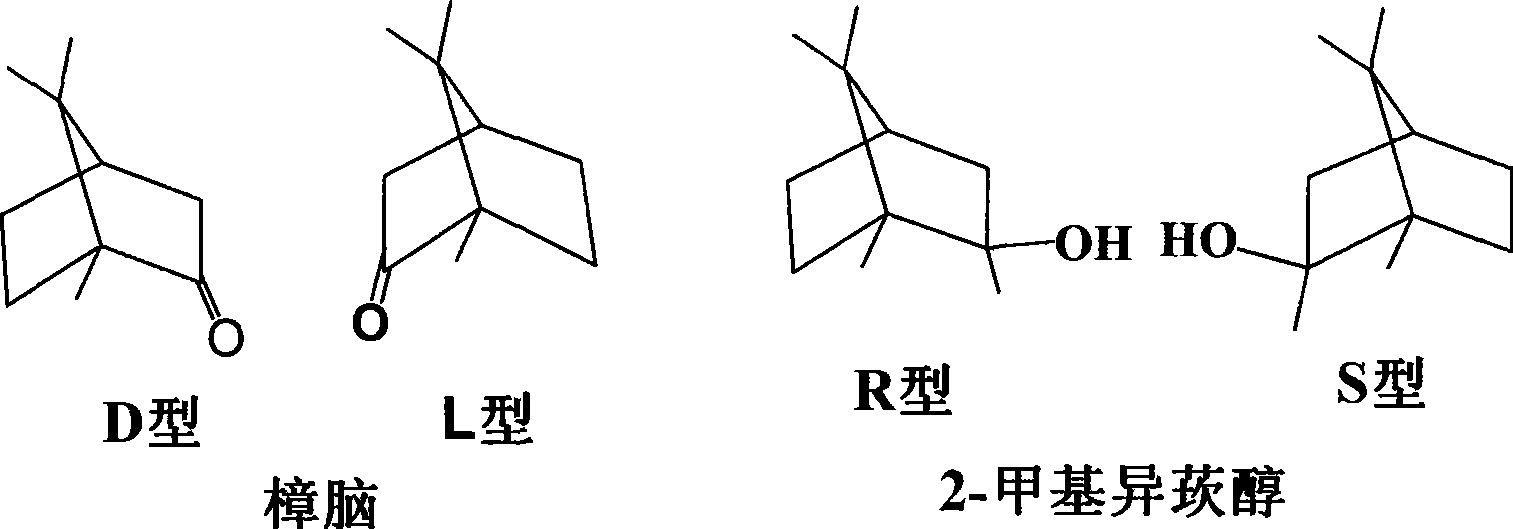 Method for synthesizing 2-methylisoborneol