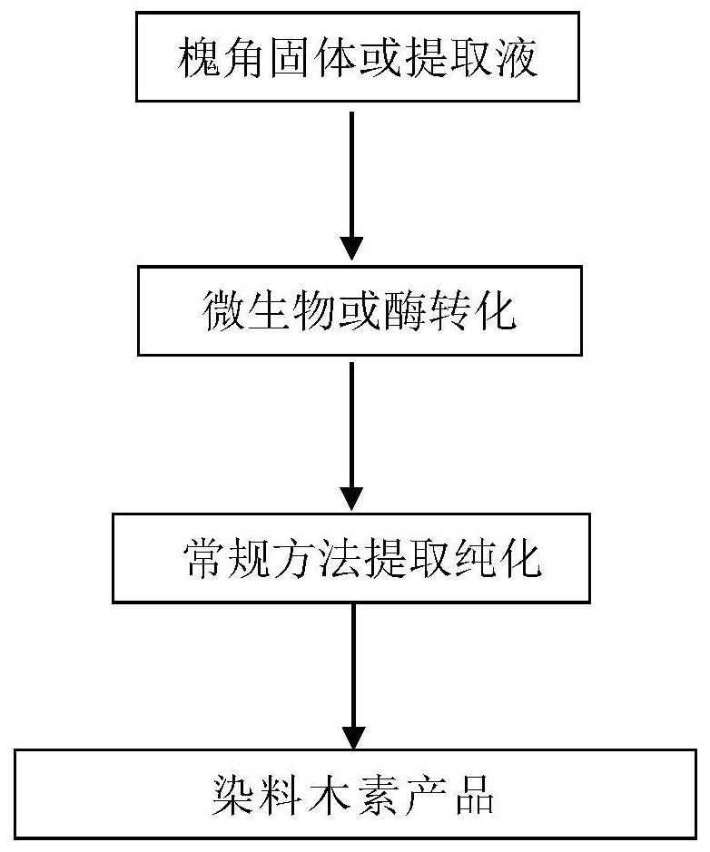 A kind of Paenibacillus polymyxa, its application in the preparation of genistein and the method for preparing genistein