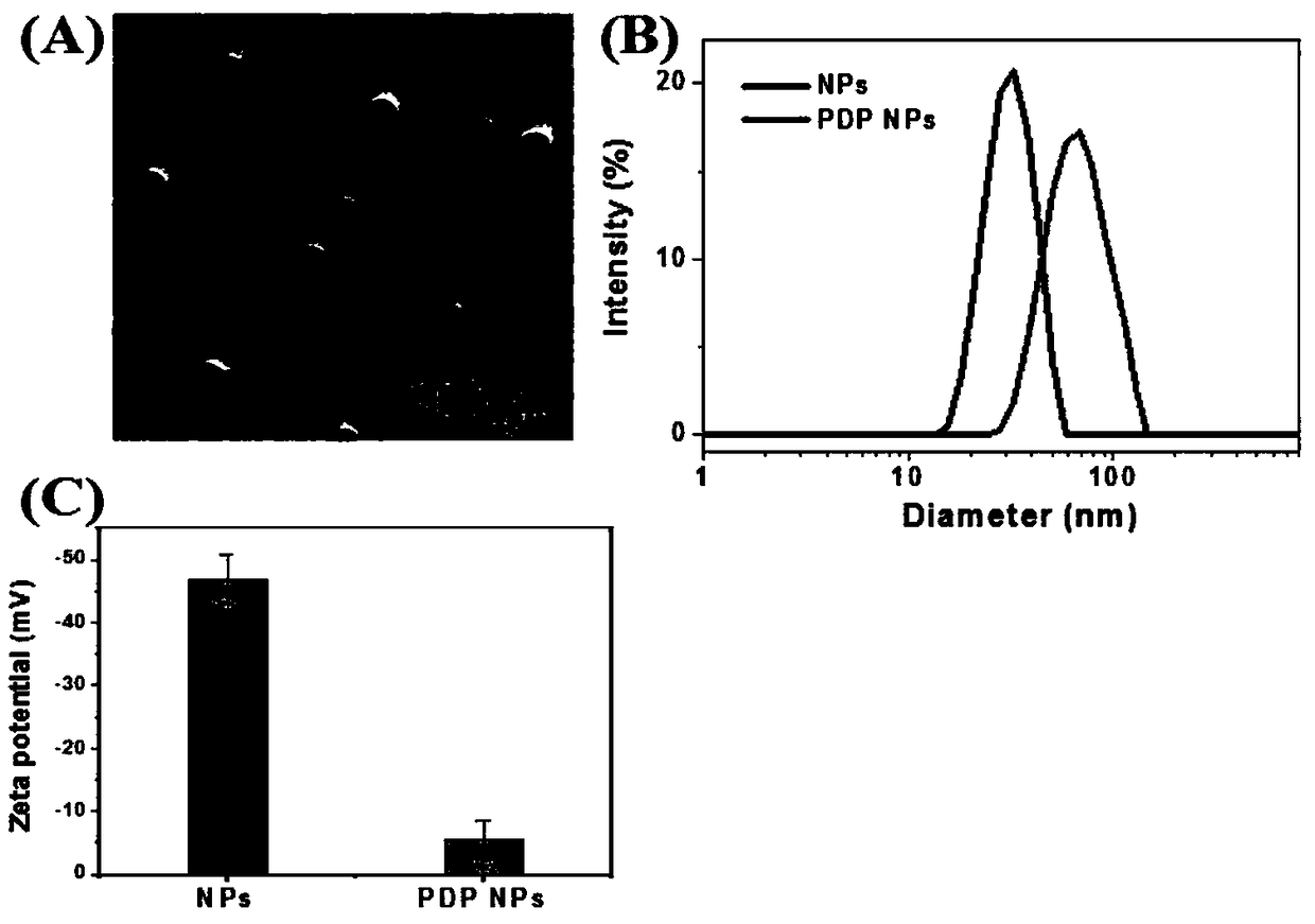 Medicine for photodynamic therapy and chemotherapy of cancer and preparation method thereof