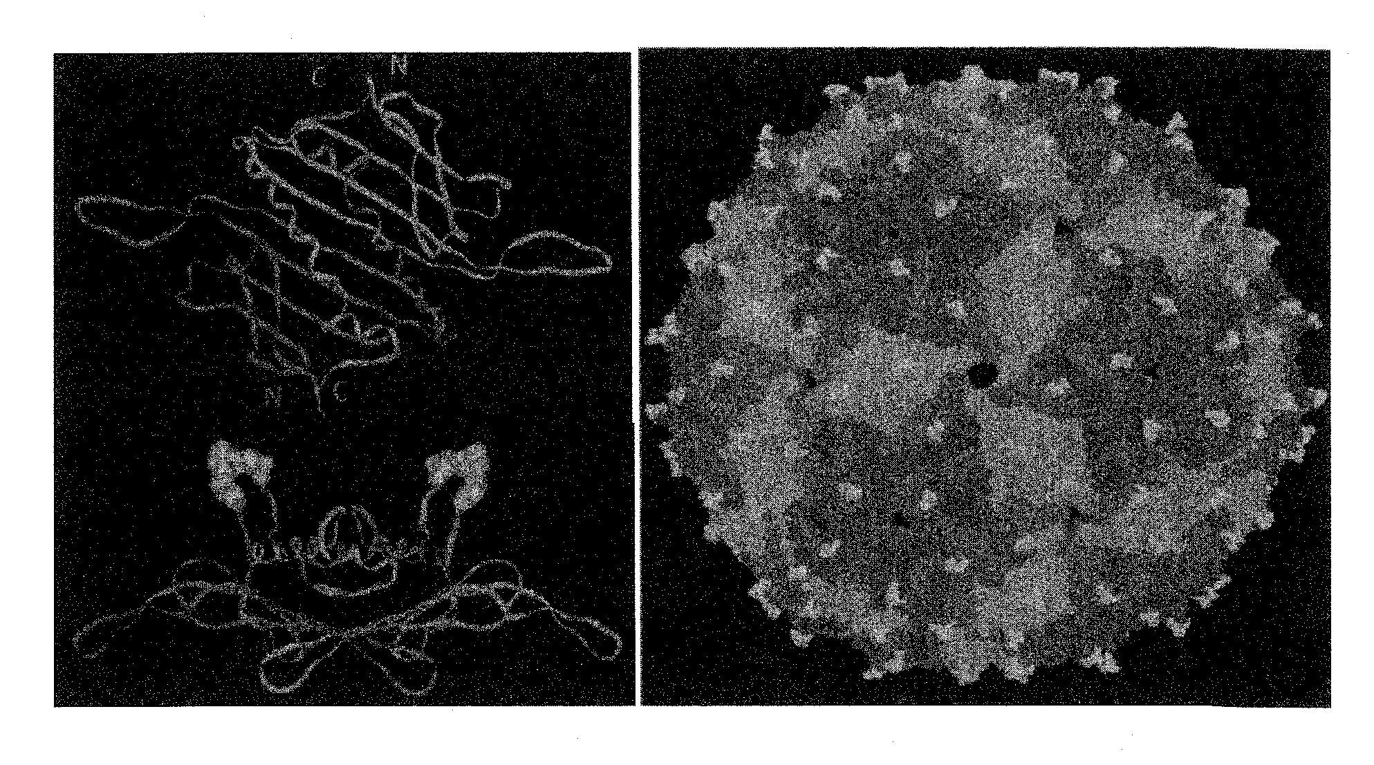 Plasmids and methods for peptide display and affinity-selection on virus-like particles of RNA bacteriophages