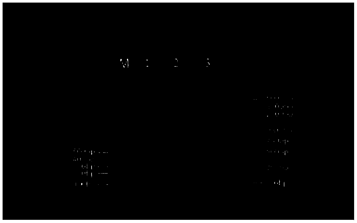 Adriamycin-containing medicine and preparation method thereof