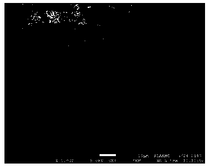 Preparation method of porous silicon/graphite/carbon composite negative electrode material for lithium-ion secondary battery