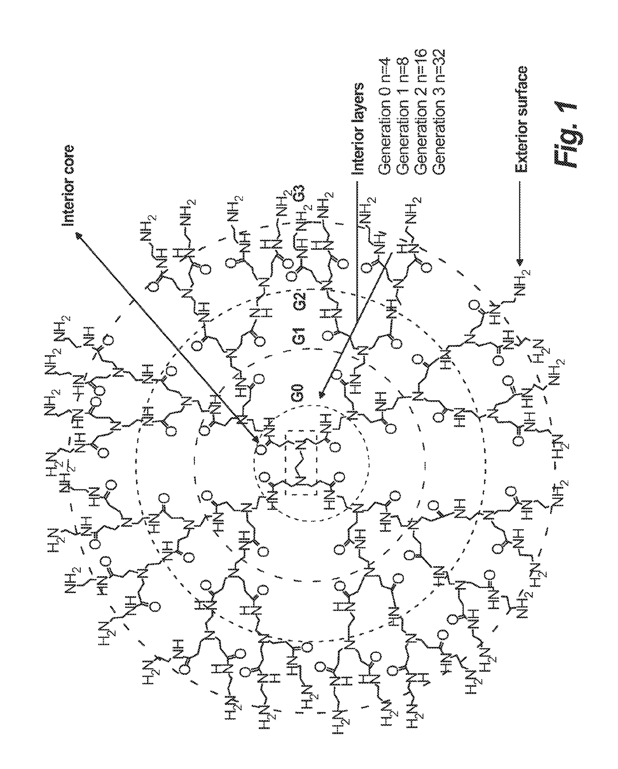 Synthesis of novel asymmetric bow-tie PAMAM dendrimer-based conjugates for tumor-targeting drug delivery