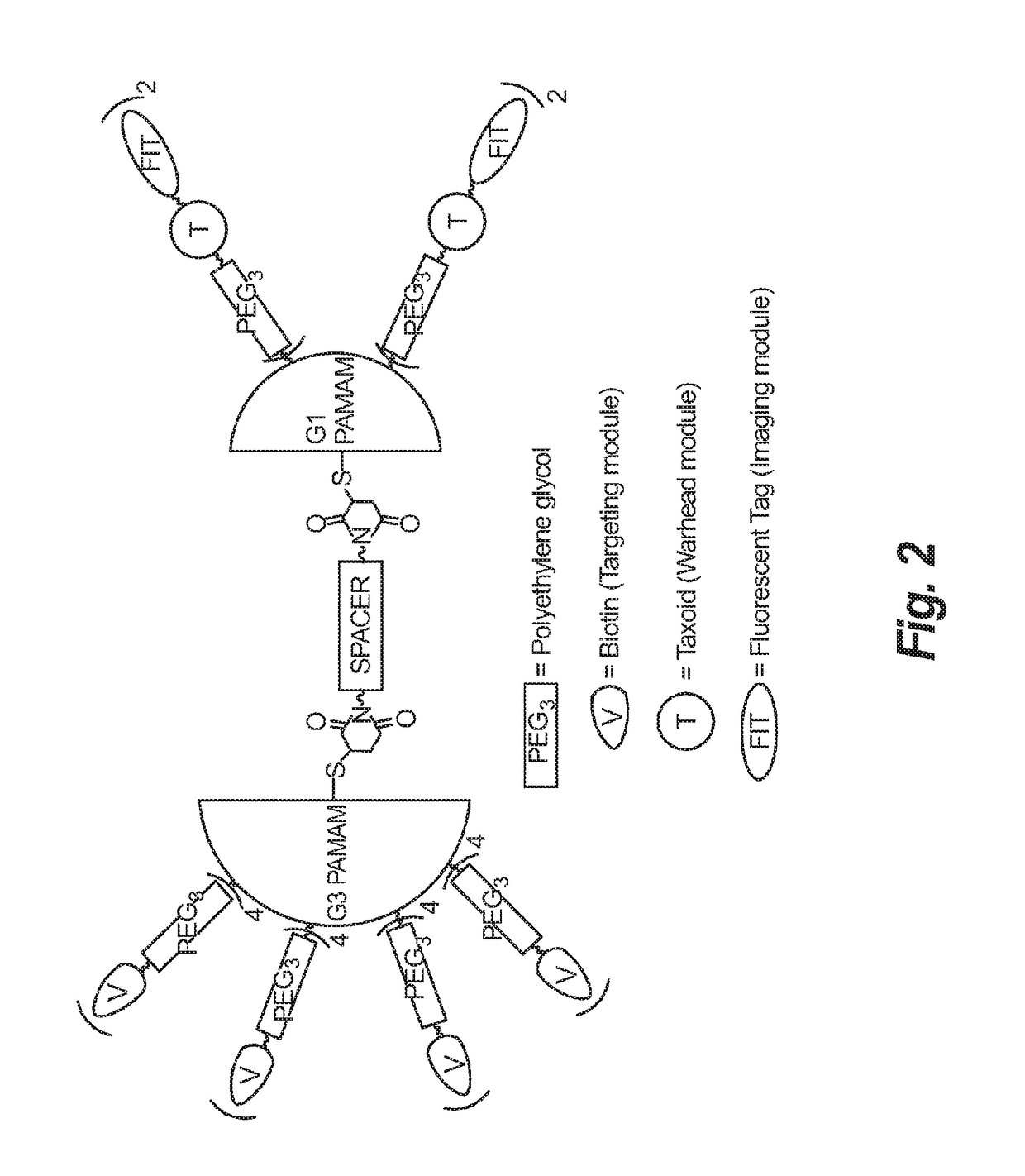 Synthesis of novel asymmetric bow-tie PAMAM dendrimer-based conjugates for tumor-targeting drug delivery