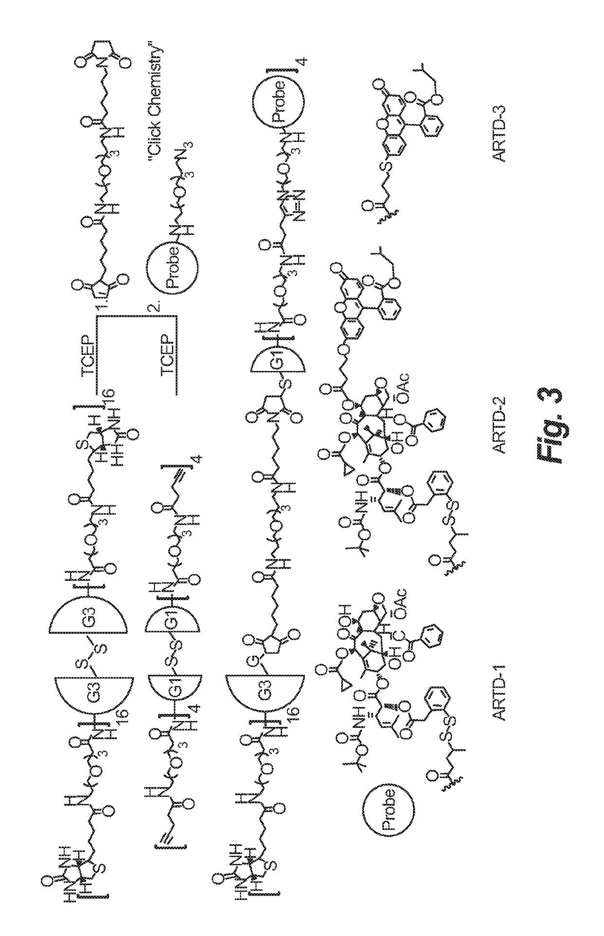 Synthesis of novel asymmetric bow-tie PAMAM dendrimer-based conjugates for tumor-targeting drug delivery