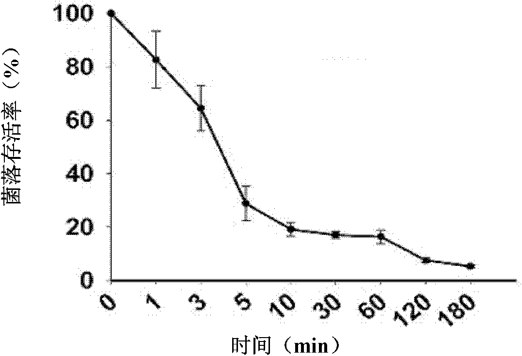 Green mud crab antibacterial peptide Sphistin and application thereof