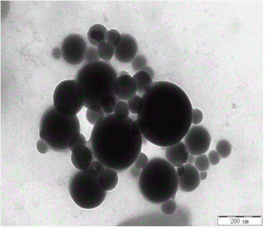 Preparation and application of modified bletilla striata polysaccharide derivative nano-carrier