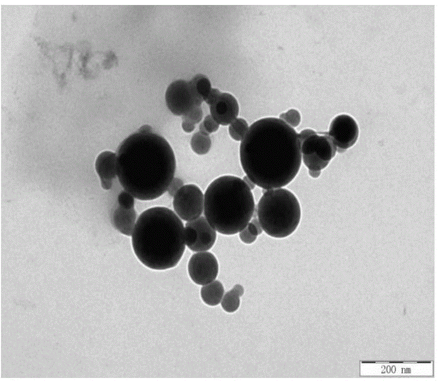 Preparation and application of modified bletilla striata polysaccharide derivative nano-carrier