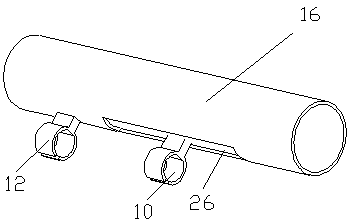 Mouse caudal vertebra oscillator