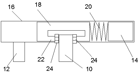 Mouse caudal vertebra oscillator