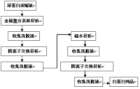 Method for preparing human albumin from urine