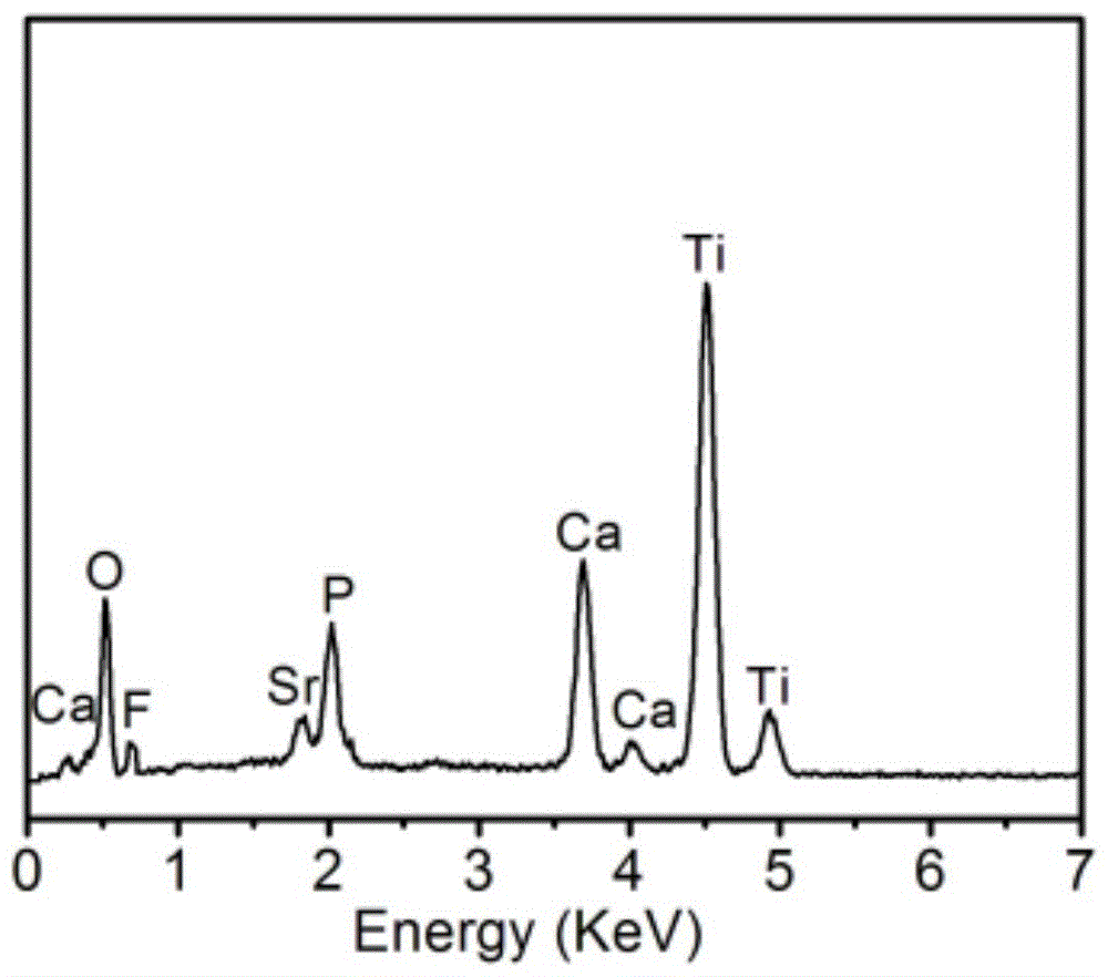 Titanium dioxide/strontium-containing fluorohydroxyapatite bioactive nanocomposite coating and its preparation method and application