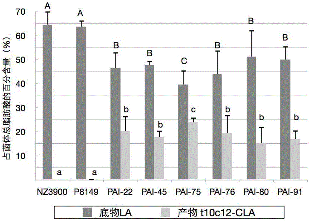 Food-grade recombined lactococcal lactis capable of producing conjugated linoleic acid as well as construction method and application thereof