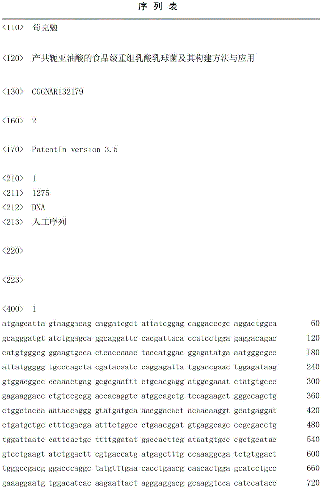 Food-grade recombined lactococcal lactis capable of producing conjugated linoleic acid as well as construction method and application thereof