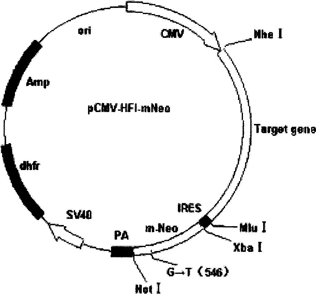 Expression carrier for high-efficient screening target protein, its preparation method and use