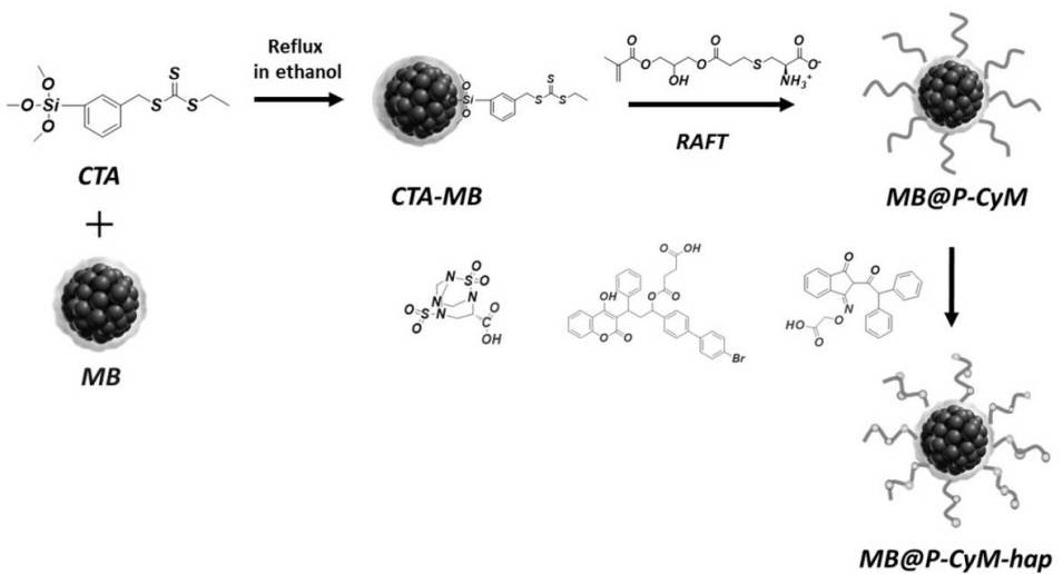 A SERS system for the simultaneous detection of multiple toxic substances