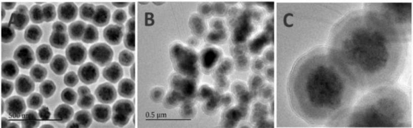 A SERS system for the simultaneous detection of multiple toxic substances