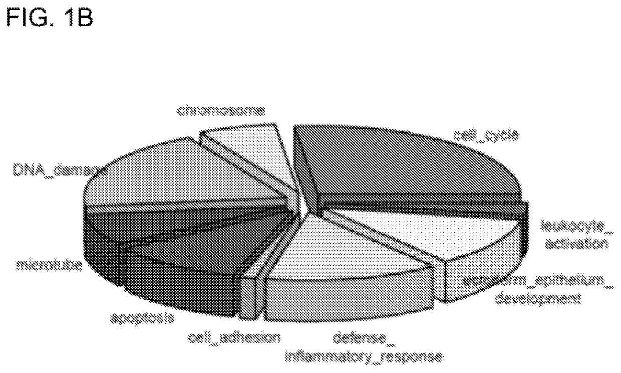 Next-generation biomarkers to detect sun damage and predict skin cancer risk