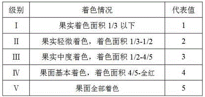 Fruit induction coloring agent composition