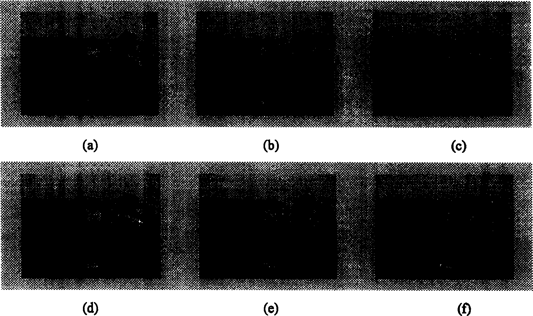 Multiple focussing image fusion method based on block dividing