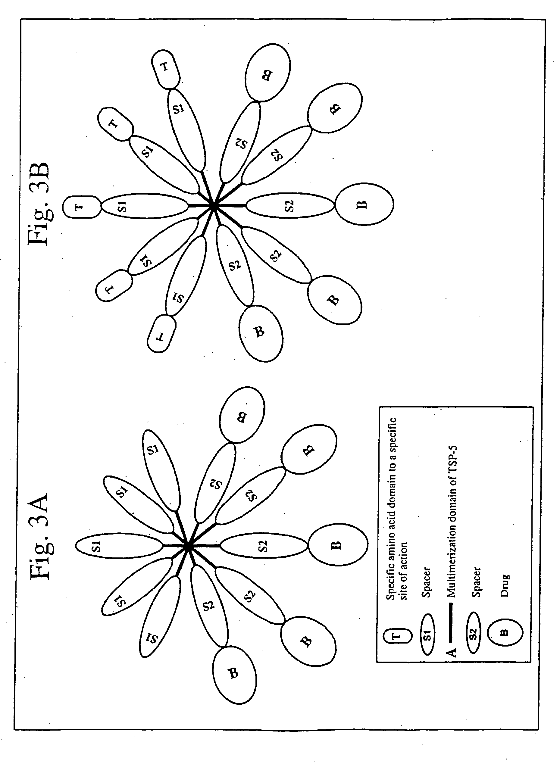 Carrier chimeric proteins, targeted carrier chimeric proteins and preparation thereof