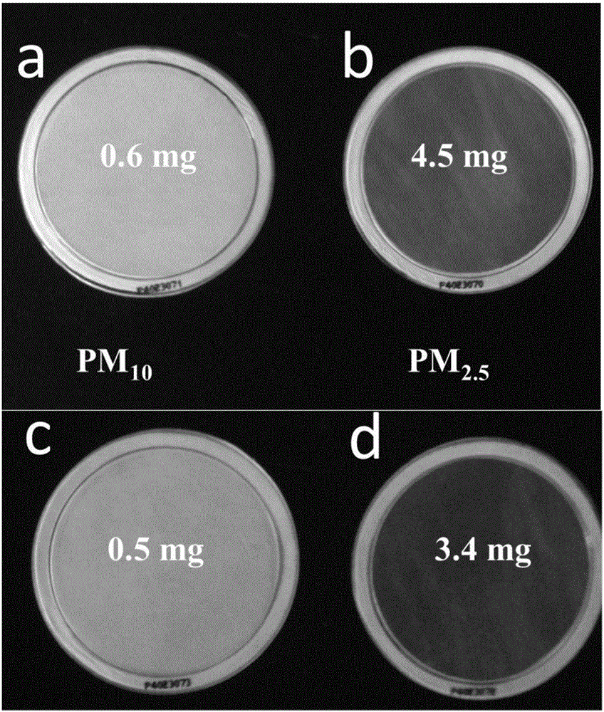 Multifunctional air purification film and method for preparing same