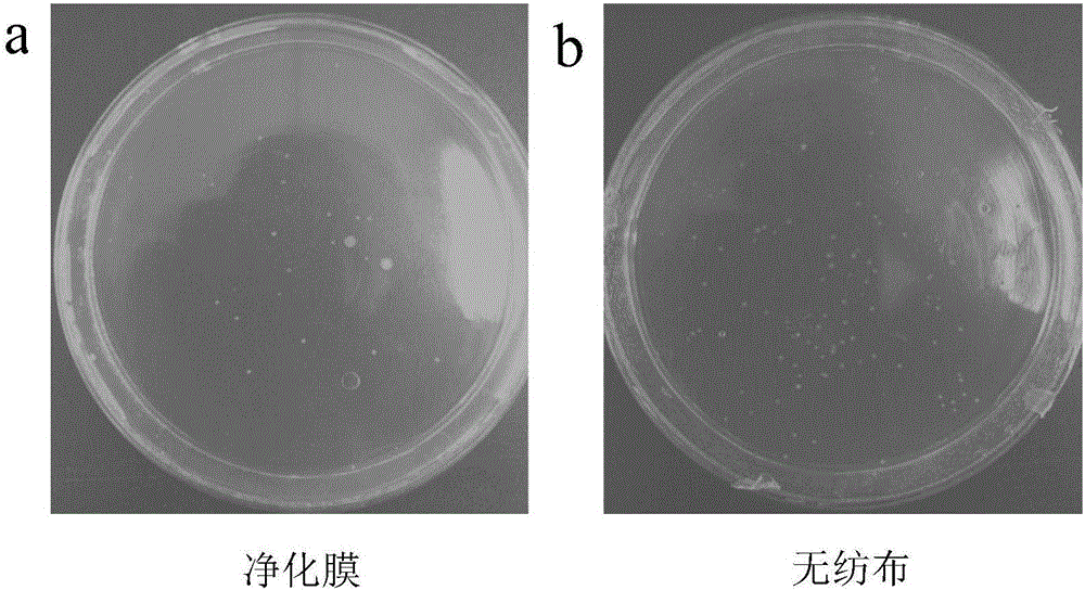 Multifunctional air purification film and method for preparing same