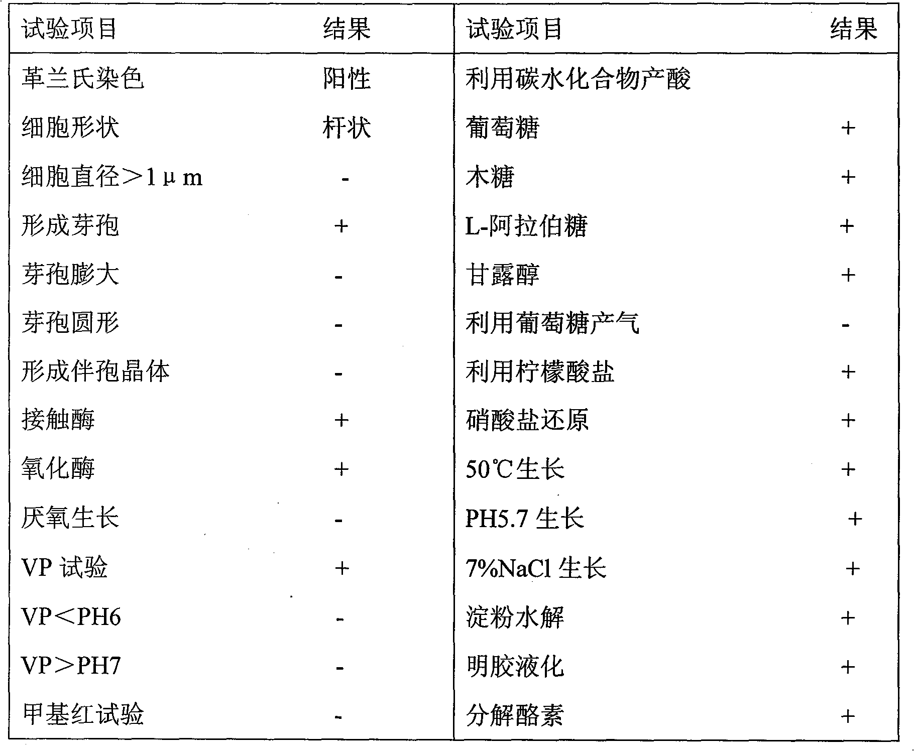 Preparation method of raw powder of each gram of bacillus subtillis with five hundred billion of live germs