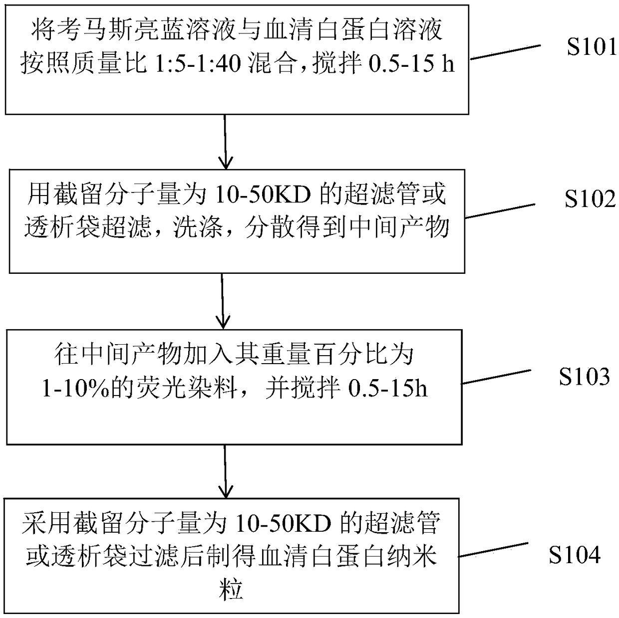 Serum albumin nanoparticles combined with fluorescent dyes and coomassie brilliant blue as well as preparation method and application thereof in tumor diagnosis and treatment