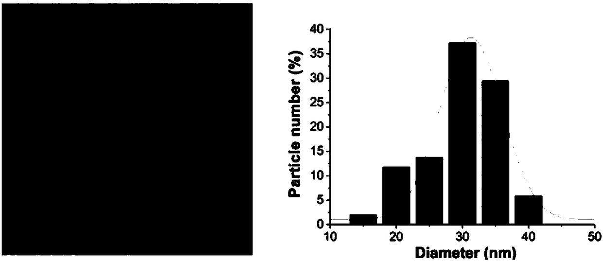 Serum albumin nanoparticles combined with fluorescent dyes and coomassie brilliant blue as well as preparation method and application thereof in tumor diagnosis and treatment