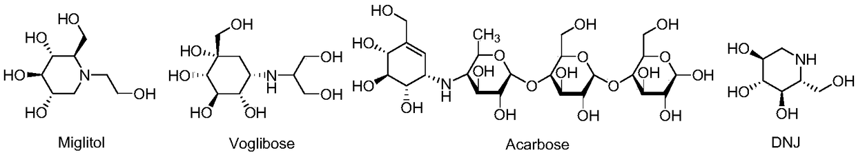 Virtual screening method of alpha-glucosidase inhibitor