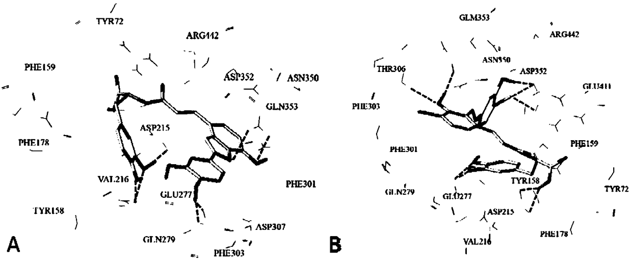 Virtual screening method of alpha-glucosidase inhibitor