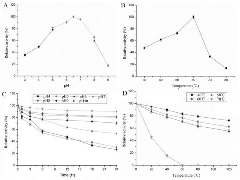 A fusion protein of expansin and xylanase, its encoding gene and application