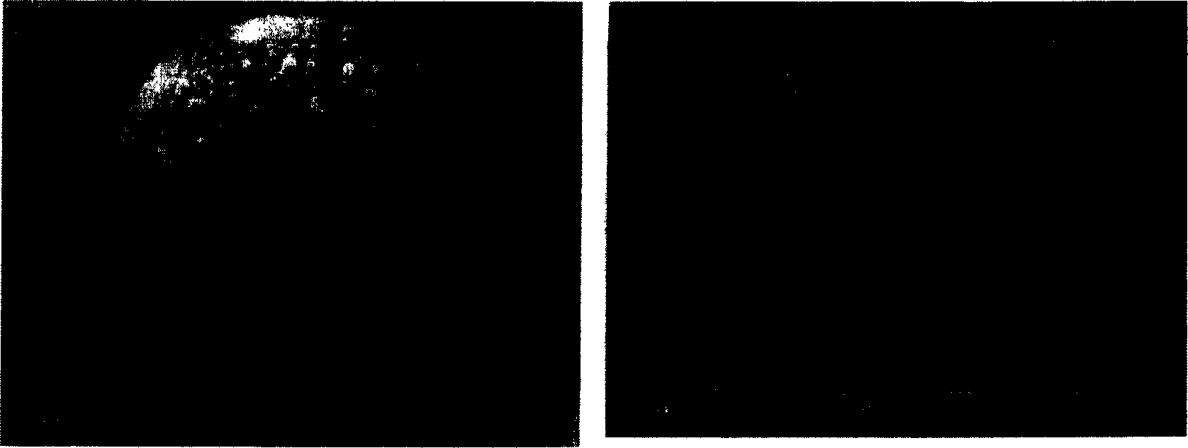 Ternary composite microsphere formulation and its preparation method