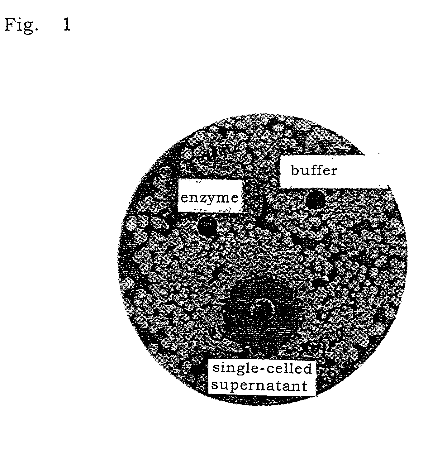 Process for producing plant-origin antibacterial substance