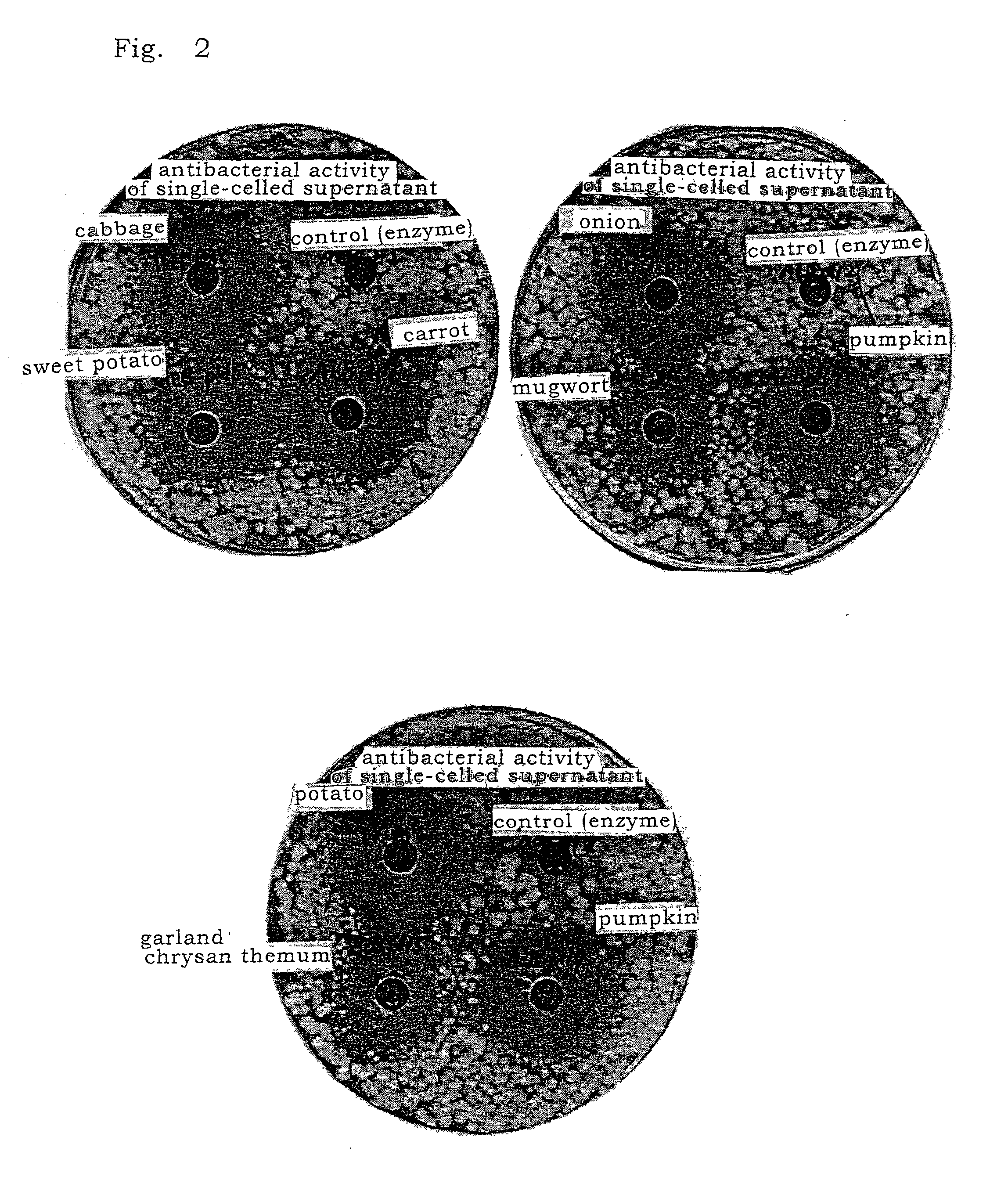 Process for producing plant-origin antibacterial substance