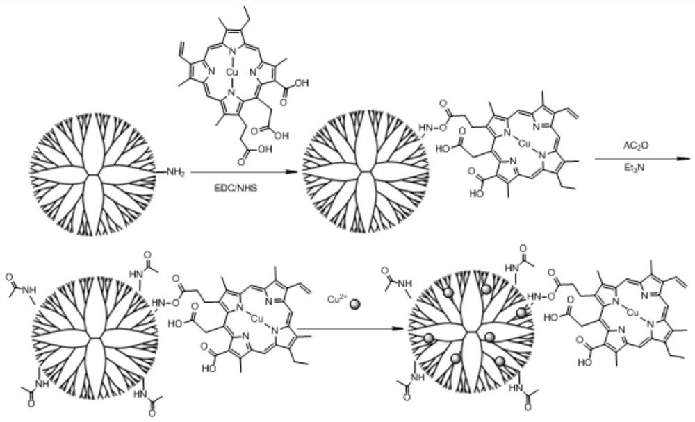 Preparation method of chlorophyll copper-modified dendrimer copper complex nano diagnosis and treatment material