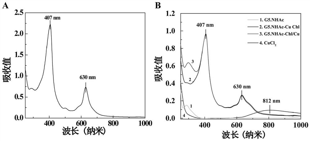 Preparation method of chlorophyll copper-modified dendrimer copper complex nano diagnosis and treatment material