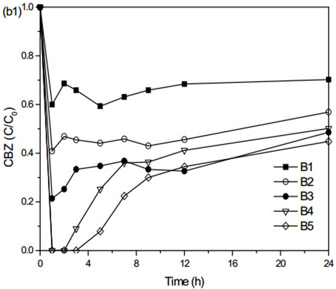 A device and method for remediating groundwater by fe(ii) activated sodium persulfate method