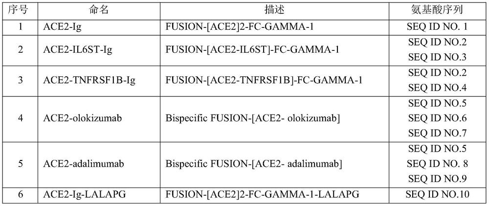 ACE2 protein and IL-6 or TNF alpha antagonist composition and application thereof