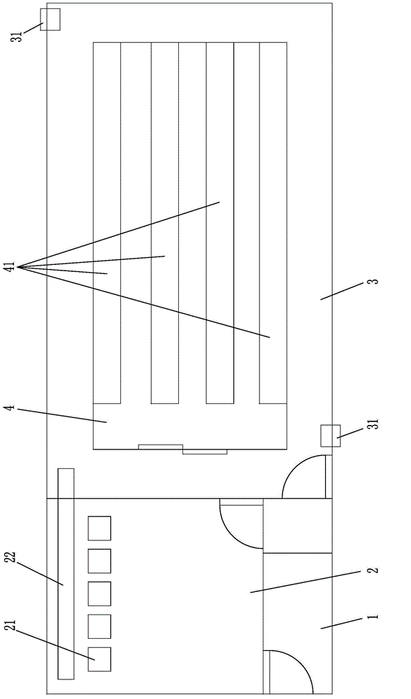 Method for cultivating and planting organic dendrobium candidum