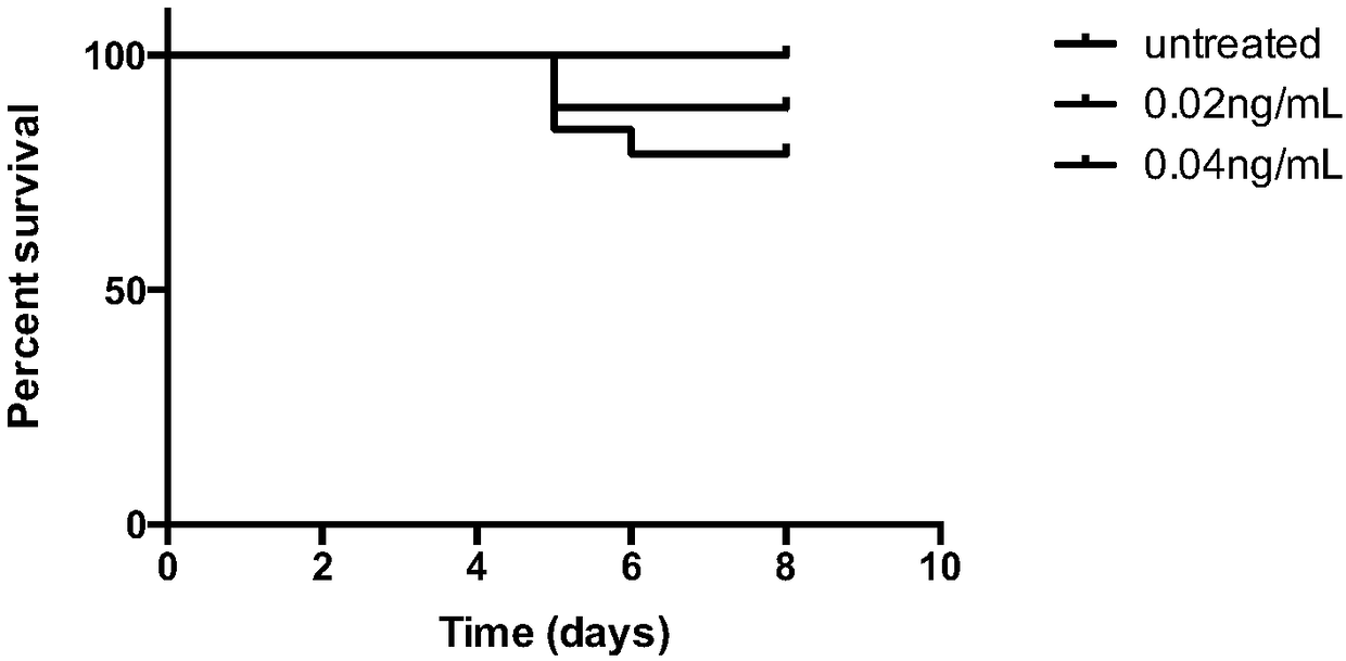 Constructing method and application of zebra fish NK/TCL tumor model