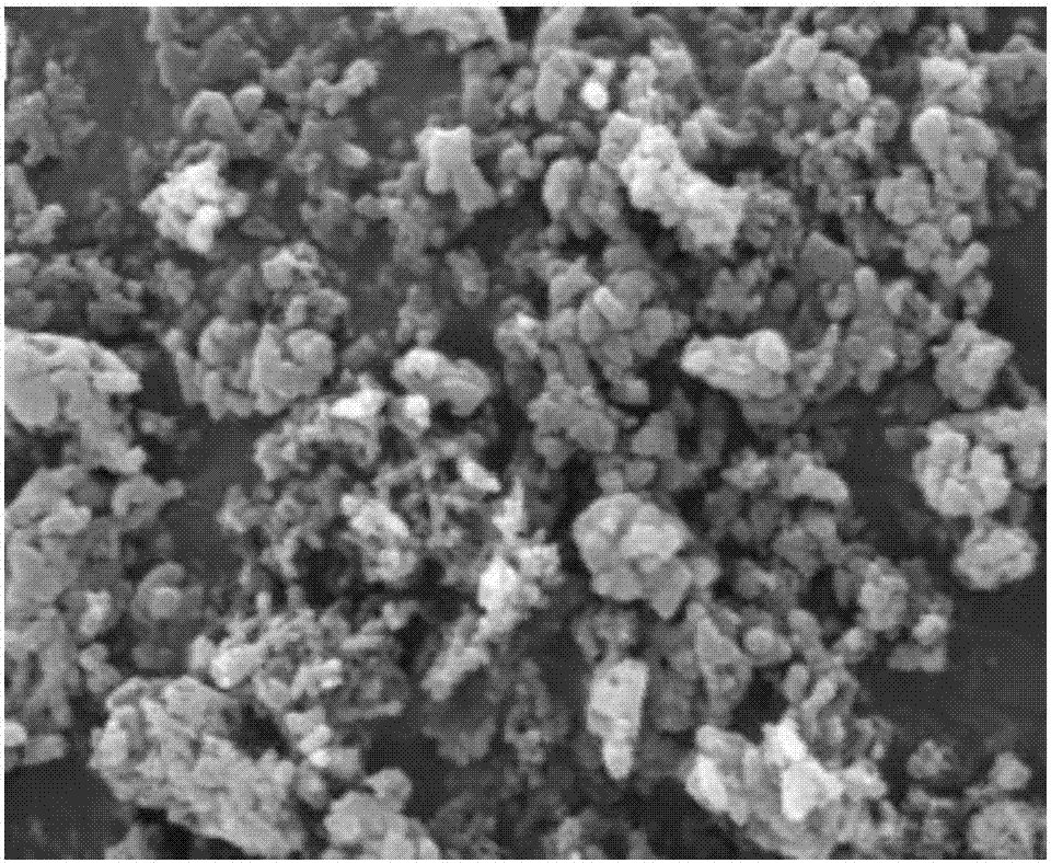 Magnetic nano-targeted oxidized graphene drug carrier and preparation method and application thereof