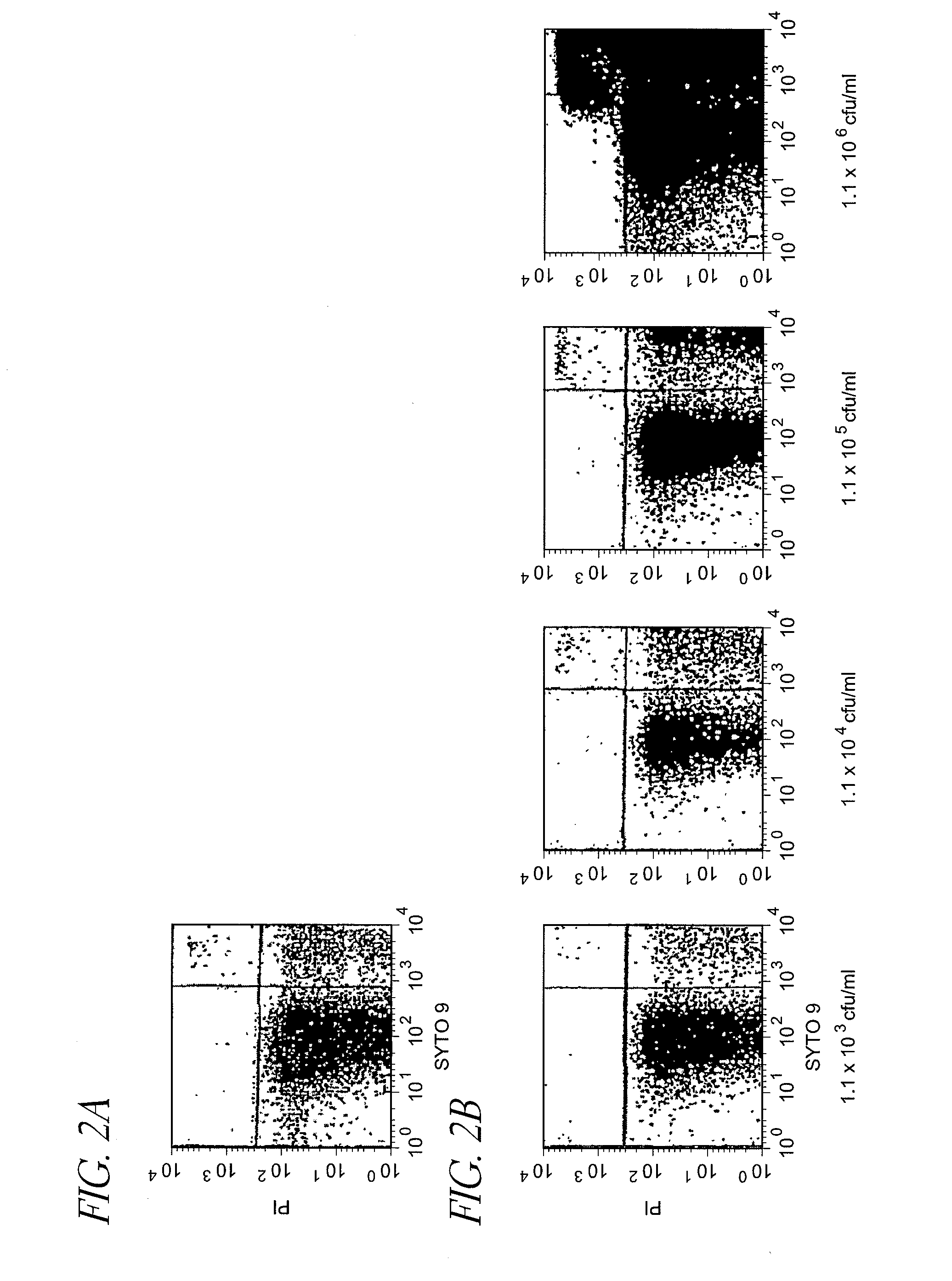 Method for detection of microorganism and kit for detection of microorganism