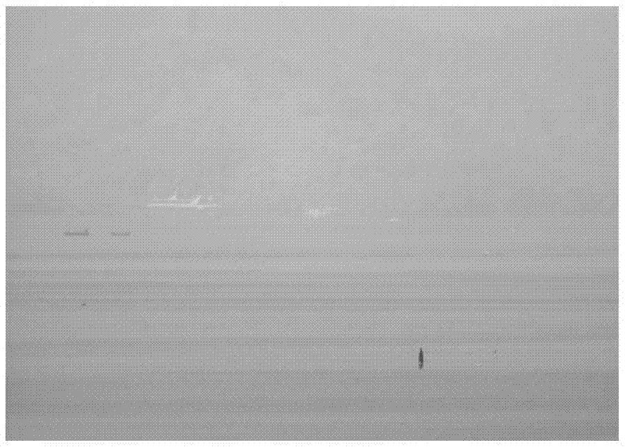 Foggy weather image reconstruction method based on polarization