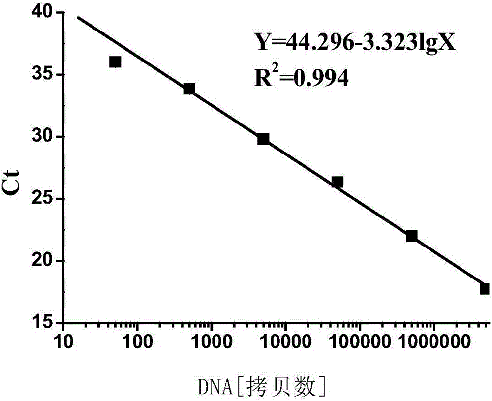 Polynucleotide, method and kit used for detecting transgenic crops