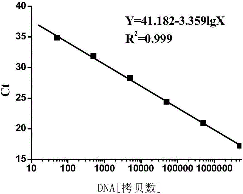 Polynucleotide, method and kit used for detecting transgenic crops